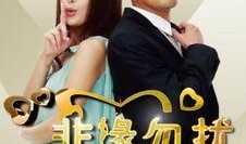 非缘勿扰在线观看,浪漫邂逅，缘起缘灭的在线情感之旅